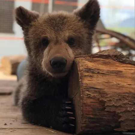 Tatralandia Liptovský Mikuláš