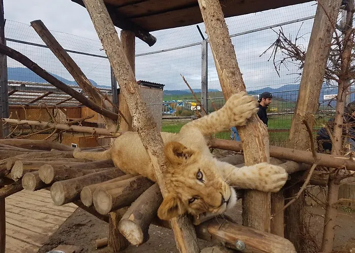 아파트 Tatralandia Liptovský Mikuláš
