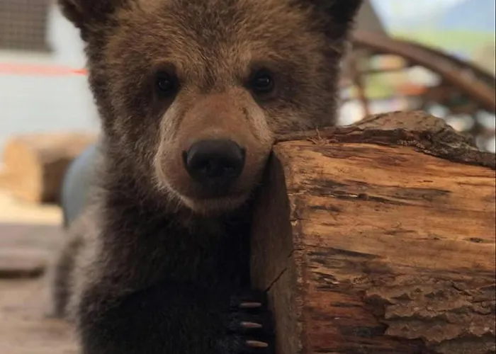 Tatralandia Liptovský Mikuláš